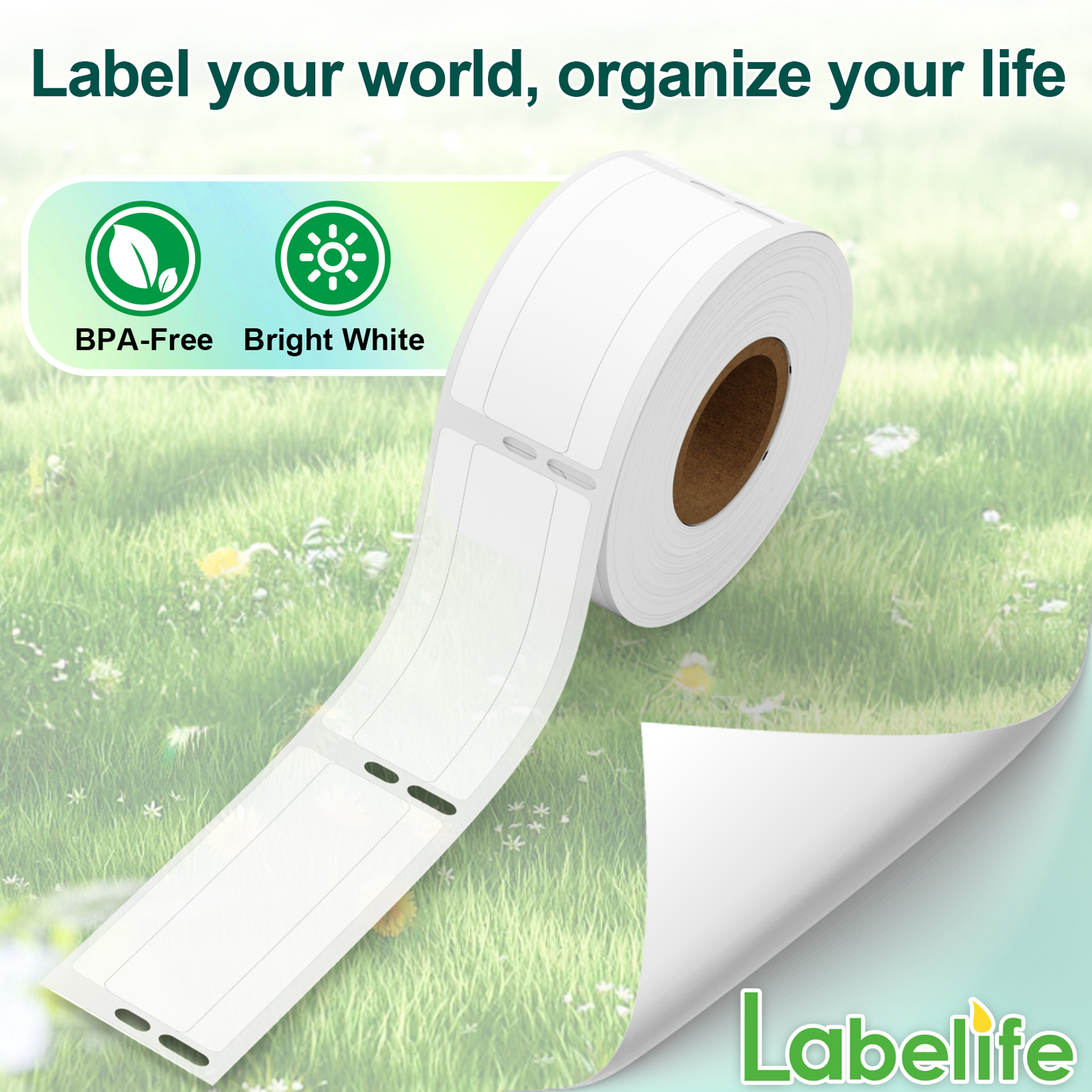 Labelife Compatible Dymo File Folder Labels Replace for Dymo Label 30327 (30576) 9/16"x 3-7/16" LW 1-Up Labels for Dymo Labelwriter 450, 450 Turbo, 450 Twin Turbo, 450 Duo, 4XL, 400 Printer, 6 Rolls