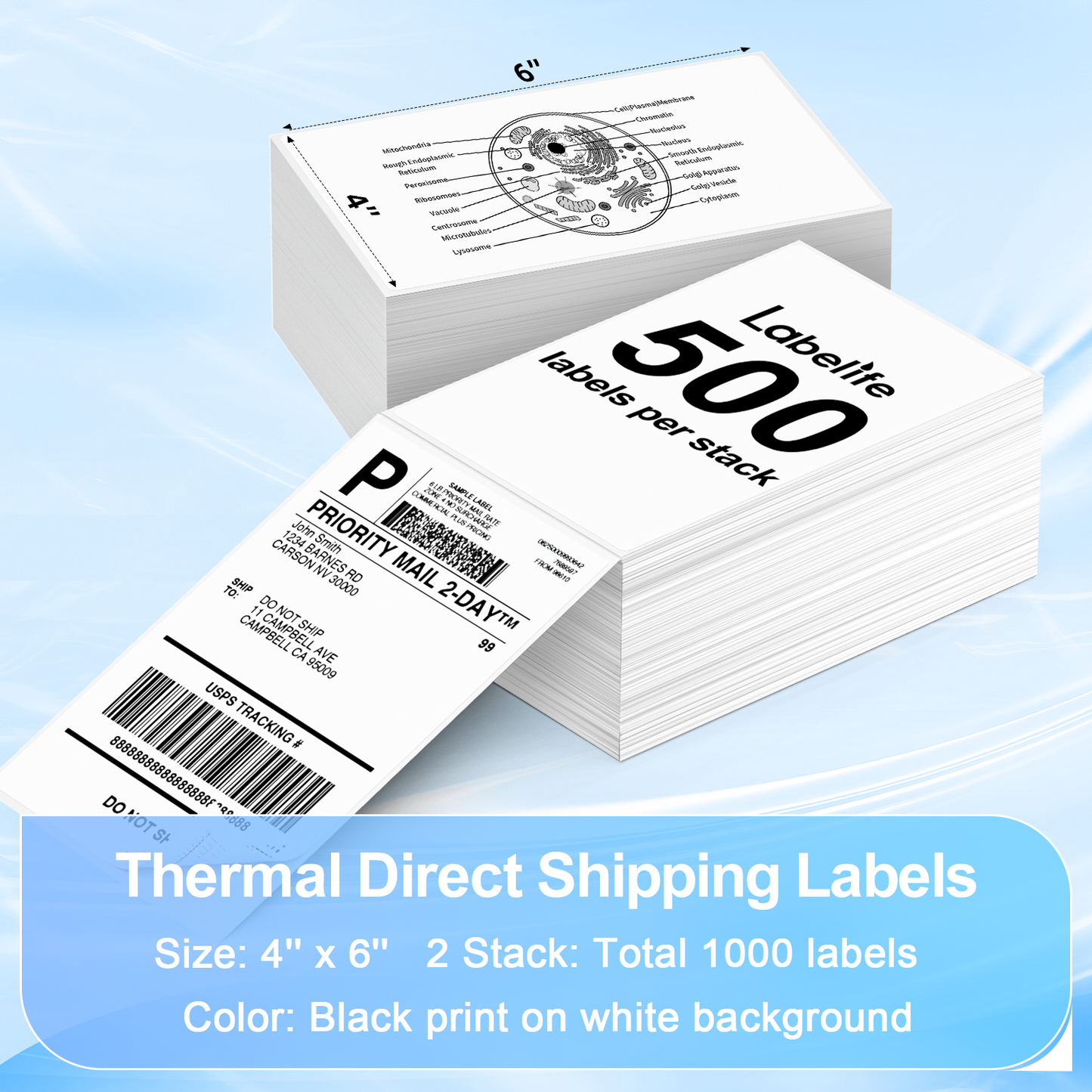 Labelife Thermal Direct 4x6 Shipping Labels Compatible with MUNBYN Rollo IDPRT SP420, SP410, POLONO PL60 Label Printer (Pack of 500 4x6 Fanfold Labels)